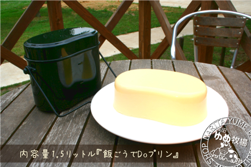 飯ごうでDoプリン