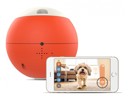 遠隔操作が可能なロボット型おもちゃ「easyPlay(イージープレイ)」