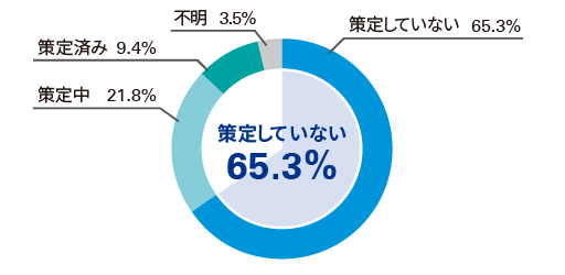フィンテックの活用およびデジタル化への中期計画やロードマップの策定